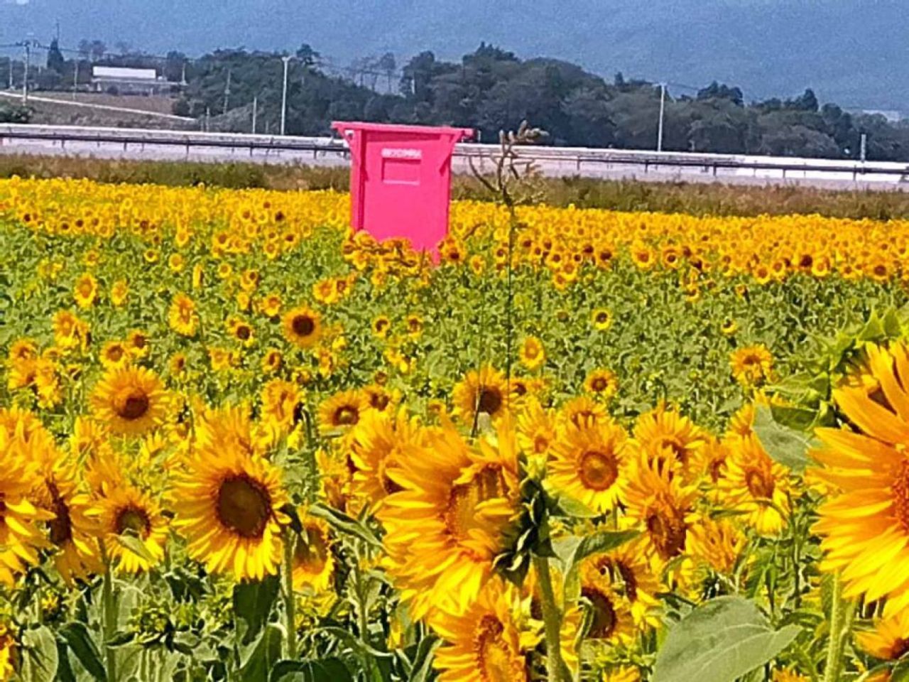 夏季休業のお知らせ